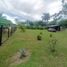  Terreno (Parcela) en venta en Othon P Blanco, Quintana Roo, Othon P Blanco