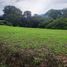  Land for sale in Salento, Quindio, Salento