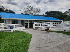 10 Habitación Villa en venta en Quindio, La Tebaida, Quindio