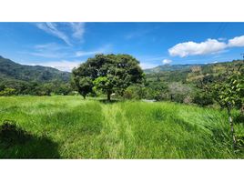  Terreno (Parcela) en venta en La Vega, Cundinamarca, La Vega