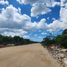  Grundstück zu verkaufen in Conkal, Yucatan, Conkal