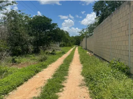  Grundstück zu verkaufen in Conkal, Yucatan, Conkal