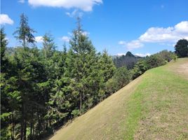 Terrain à vendre à Guarne, Antioquia, Guarne