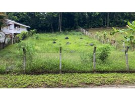  Land for sale in Tolima, Melgar, Tolima