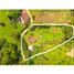  Land for sale in Andalucia, Valle Del Cauca, Andalucia
