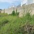 在Chiapas出售的 土地, Tuxtla Gutierrez, Chiapas