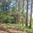 Studio Villa zu verkaufen in Potrerillos, Chiriqui, Potrerillos, Dolega