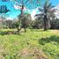  Land for sale in Chiriqui, Potrerillos, Dolega, Chiriqui