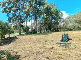  Terreno (Parcela) en venta en Chiriquí, Potrerillos Abajo, Dolega, Chiriquí