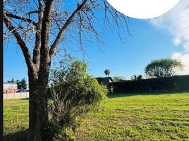  Grundstück zu verkaufen in San Lorenzo, Santa Fe, San Lorenzo