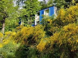 4 Schlafzimmer Haus zu verkaufen in Lacar, Neuquen, Lacar, Neuquen