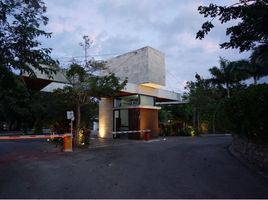  Grundstück zu verkaufen in Conkal, Yucatan, Conkal