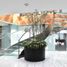 200 m² Office for rent in México, Naucalpan De Juarez, México, México