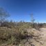  Terreno (Parcela) en venta en La Paz, Baja California Sur, La Paz, Baja California Sur