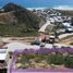  Terreno (Parcela) en venta en La Paz, Baja California Sur, La Paz, Baja California Sur