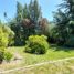 6 Habitación Casa en venta en Cautín, Araucanía, Villarrica, Cautín