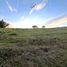  Land for sale in Chile, Santo Domingo, San Antonio, Valparaiso, Chile