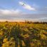  Land for sale in Chile, Santo Domingo, San Antonio, Valparaiso, Chile