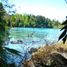  Land for sale in Valdivia Los Rios, Mariquina, Valdivia, Los Rios