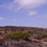  Land for sale in Chile, Ovalle, Limari, Coquimbo, Chile