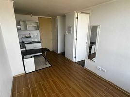 1 Bedroom Apartment for rent in Chile, Puente Alto, Cordillera, Santiago, Chile