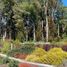  Land for sale in Los Lagos, Puerto Montt, Llanquihue, Los Lagos