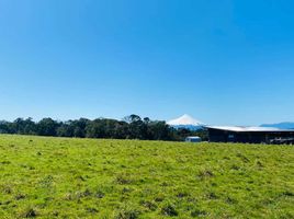  Land for sale in Los Lagos, Puerto Montt, Llanquihue, Los Lagos