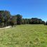  Land for sale in Los Lagos, Puerto Montt, Llanquihue, Los Lagos