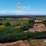  Land for sale in Chile, Pelarco, Talca, Maule, Chile