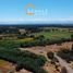  Land for sale in Chile, Pelarco, Talca, Maule, Chile