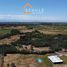  Land for sale in Pelarco, Maule, Pelarco, Talca