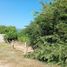  Land for sale in Armeria, Colima, Armeria