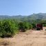  Land for sale in Armeria, Colima, Armeria