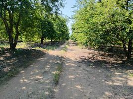  Land for sale in Armeria, Colima, Armeria