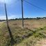  Land for sale in Brandsen, Buenos Aires, Brandsen