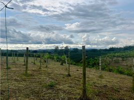  Terreno (Parcela) en venta en Armenia, Quindio, Armenia