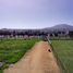  Land for sale in Chile, Coquimbo, Elqui, Coquimbo, Chile