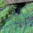  Land for sale in Los Rios, Mariquina, Valdivia, Los Rios