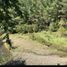  Land for sale in Los Rios, Mariquina, Valdivia, Los Rios