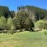  Land for sale in Los Rios, Mariquina, Valdivia, Los Rios