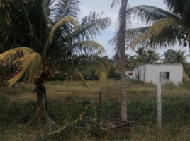  Grundstück zu verkaufen in Changuinola, Bocas Del Toro, Guabito, Changuinola, Bocas Del Toro