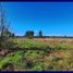  Land for sale in Concepción, Biobío, Santa Juana, Concepción