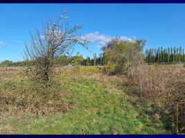  Land for sale in Concepción, Biobío, Santa Juana, Concepción