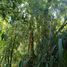  Land for sale in Los Rios, Mariquina, Valdivia, Los Rios
