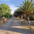  Terreno (Parcela) en venta en Maipo, Santiago, Paine, Maipo