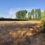  Terreno (Parcela) en venta en Maipo, Santiago, Paine, Maipo