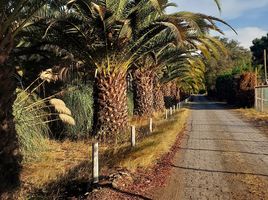  Terreno (Parcela) en venta en Maipo, Santiago, Paine, Maipo