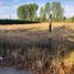  Terreno (Parcela) en venta en Maipo, Santiago, Paine, Maipo