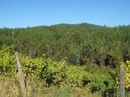  Terreno (Parcela) en venta en Cauquenes, Maule, Cauquenes, Cauquenes
