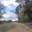  Terreno (Parcela) en venta en Cauquenes, Maule, Cauquenes, Cauquenes